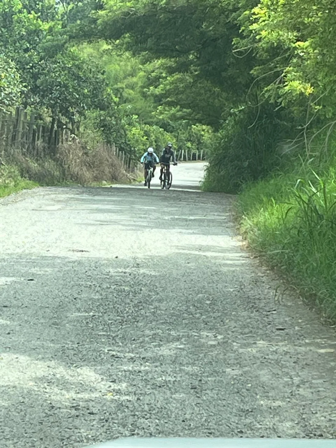 Ciclista pedaleando por un sendero entre vegetación exuberante del Quindío